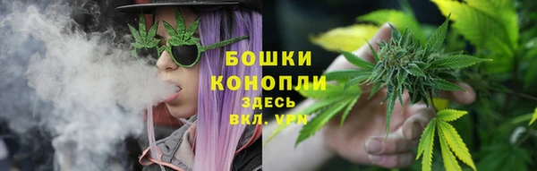 молекула духа Бугульма