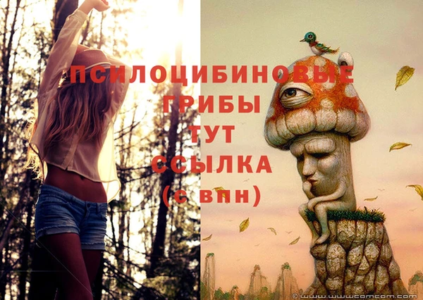 герыч Арсеньев