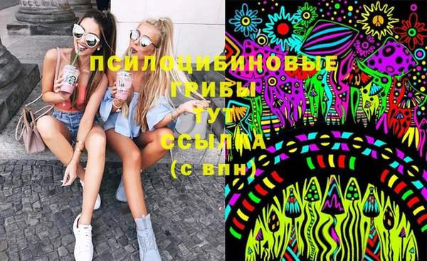 молекула духа Бугульма