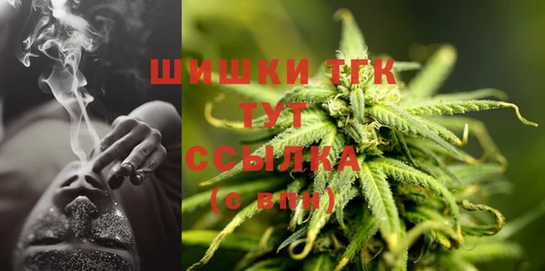 2c-b Бородино