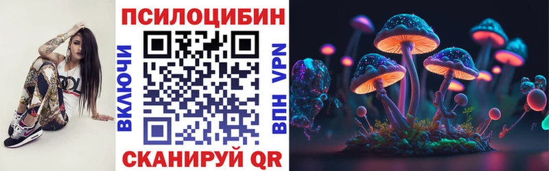 сколько стоит  Дыгулыбгей  Псилоцибиновые грибы мухоморы 